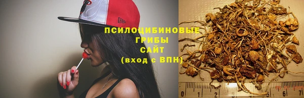 бошки Балахна