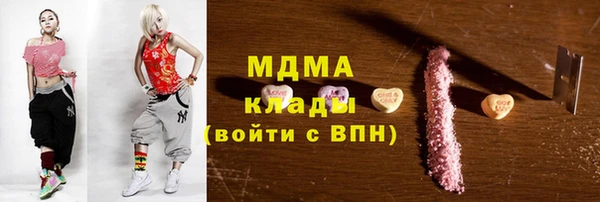 хмурый Аркадак